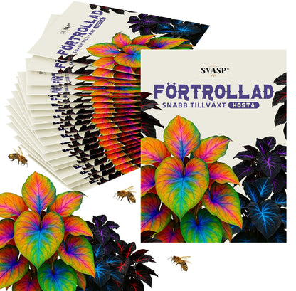 SVASP® Förtrollad Snabb tillväxt Hosta🌱