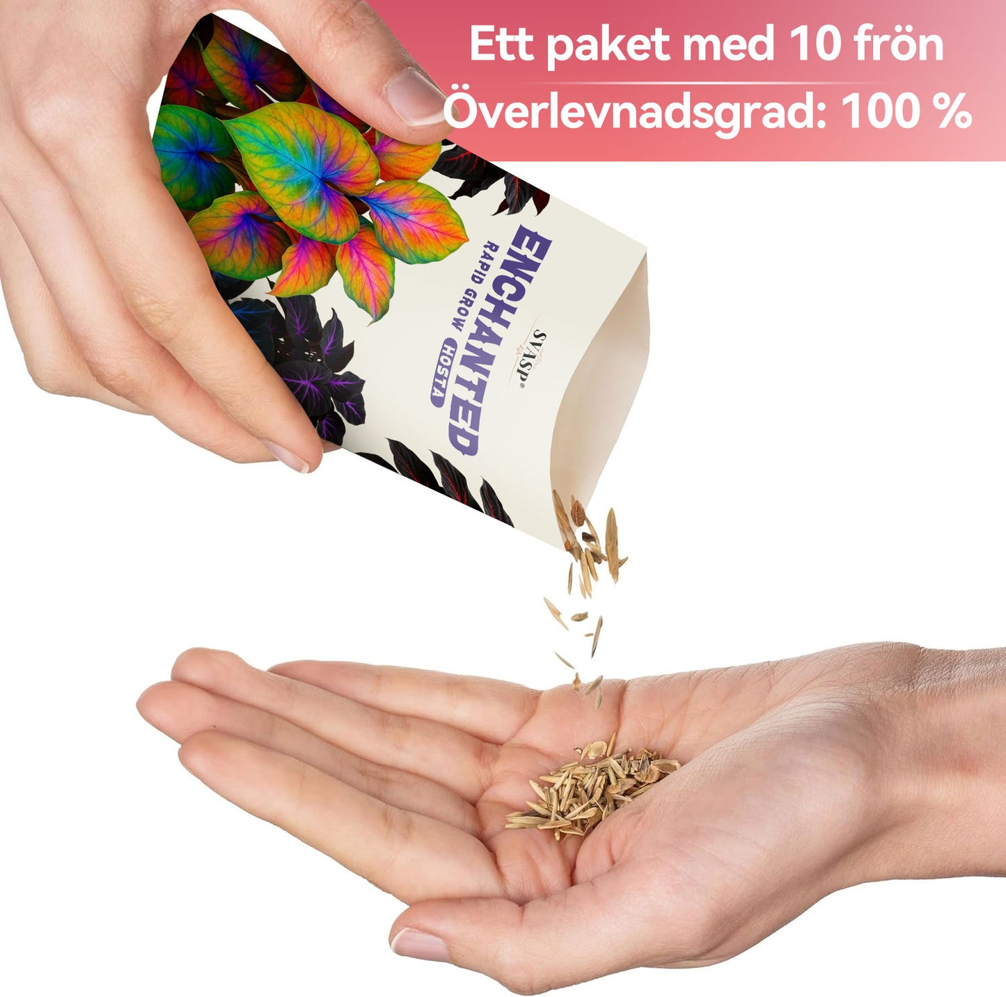 SVASP® Förtrollad Snabb tillväxt Hosta🌱