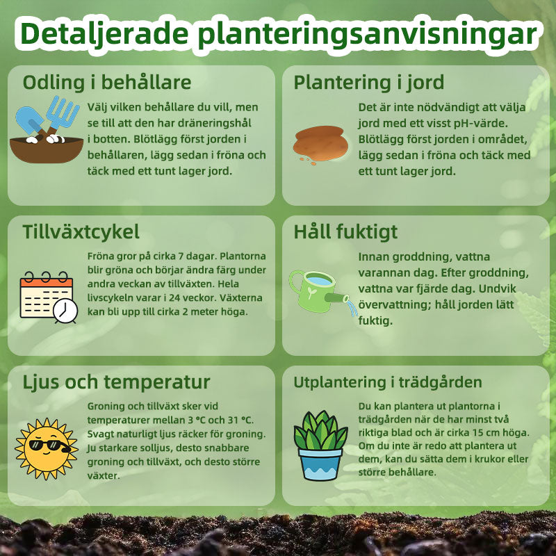 SVASP® Förtrollad Snabb tillväxt Hosta🌱